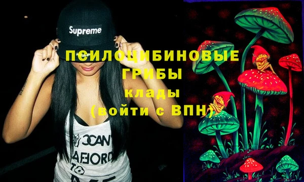 ГАЛЛЮЦИНОГЕННЫЕ ГРИБЫ Гусиноозёрск