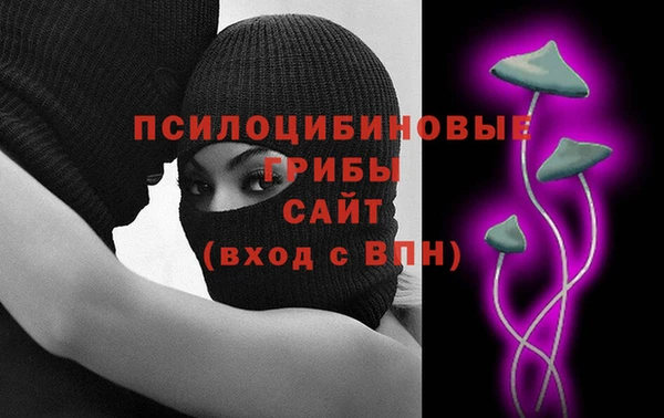 ГАЛЛЮЦИНОГЕННЫЕ ГРИБЫ Гусиноозёрск