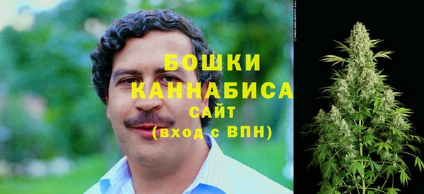 ГАЛЛЮЦИНОГЕННЫЕ ГРИБЫ Гусиноозёрск