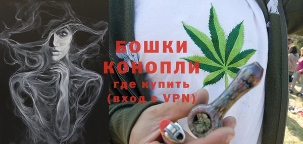ГАЛЛЮЦИНОГЕННЫЕ ГРИБЫ Гусиноозёрск