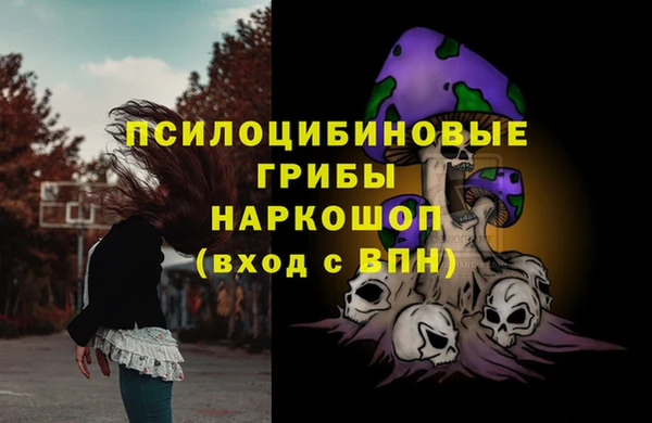 ГАЛЛЮЦИНОГЕННЫЕ ГРИБЫ Гусиноозёрск