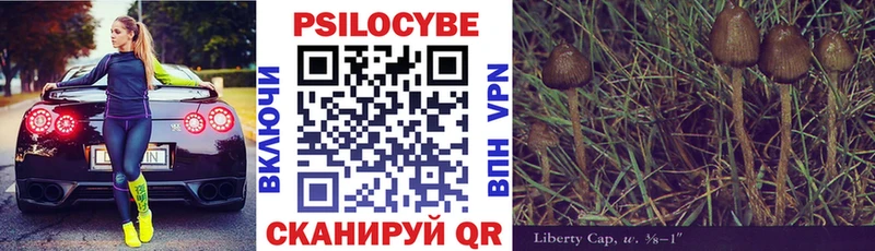Галлюциногенные грибы Psilocybe  Купить закладки  Тавда 